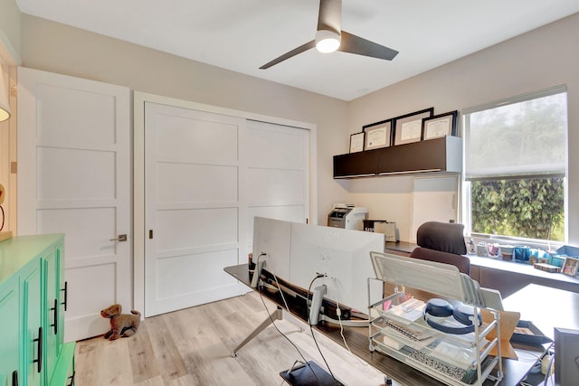 home office with ceiling fan and light hardwood / wood-style flooring