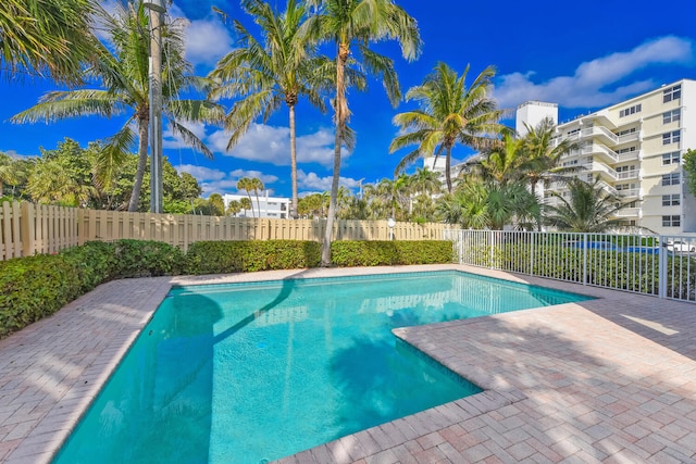 view of pool featuring a patio