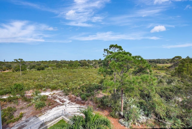 view of local wilderness