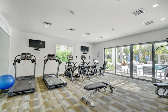 workout area featuring light carpet and a wealth of natural light