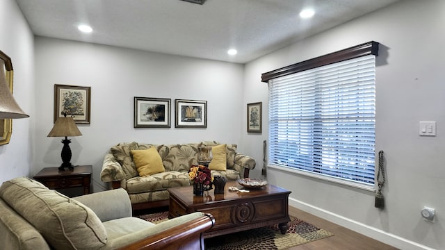 living room with wood-type flooring