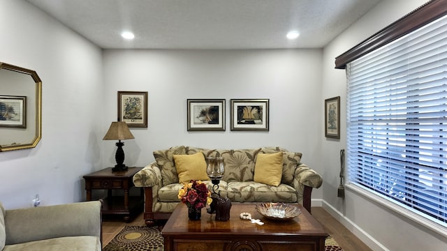 living room featuring dark hardwood / wood-style flooring