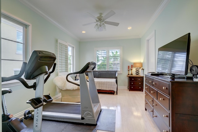 exercise area with crown molding, ceiling fan, and light hardwood / wood-style floors