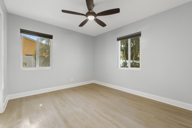 bathroom with hardwood / wood-style flooring and vanity