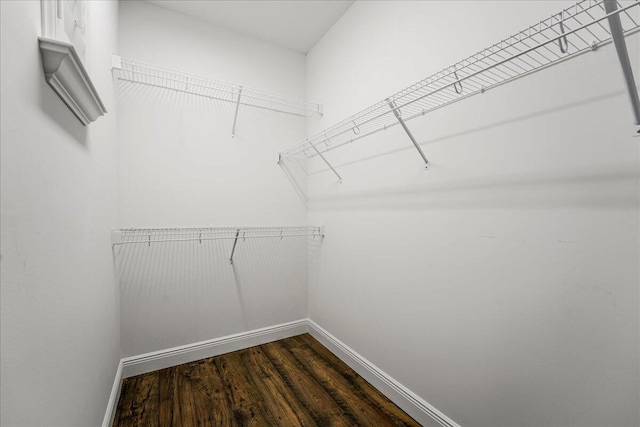 spacious closet featuring dark hardwood / wood-style floors