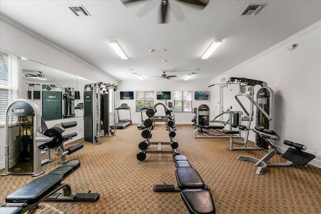 gym featuring ornamental molding, carpet, ceiling fan, and a textured ceiling