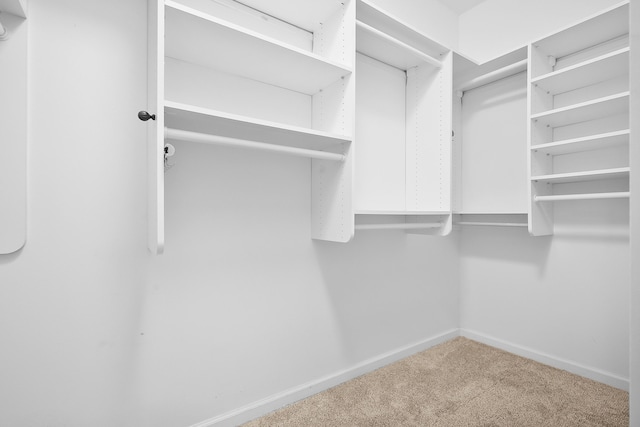 spacious closet with carpet floors