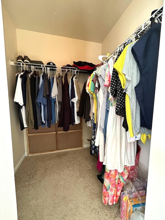 spacious closet featuring carpet flooring