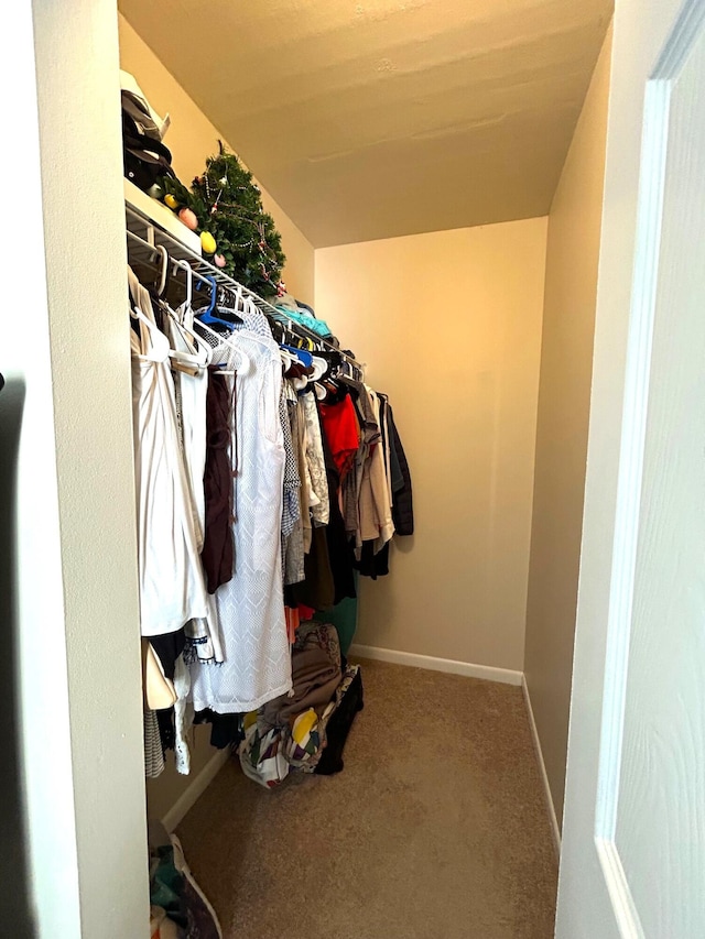 spacious closet featuring carpet floors