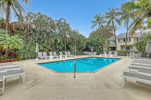 view of pool with a patio area