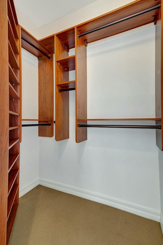 spacious closet with carpet