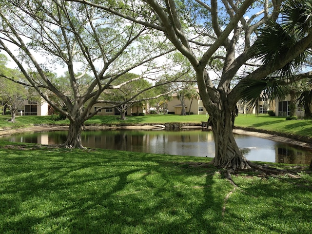 view of water feature