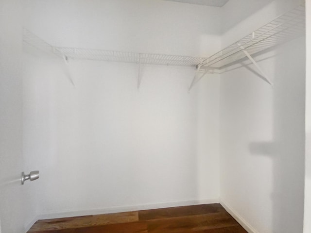 spacious closet featuring hardwood / wood-style floors