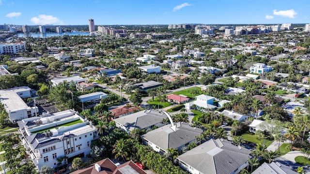 bird's eye view