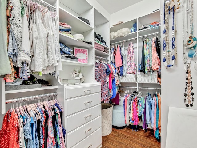 walk in closet featuring dark wood-style flooring