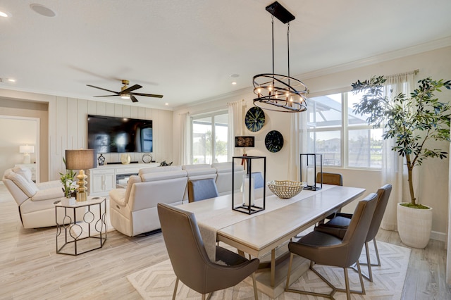 dining area with crown molding, ceiling fan with notable chandelier, and light hardwood / wood-style floors