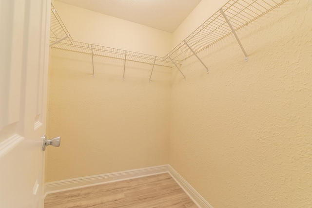 spacious closet featuring hardwood / wood-style flooring