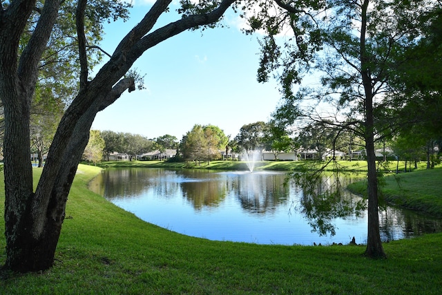 property view of water