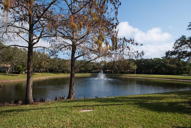 property view of water