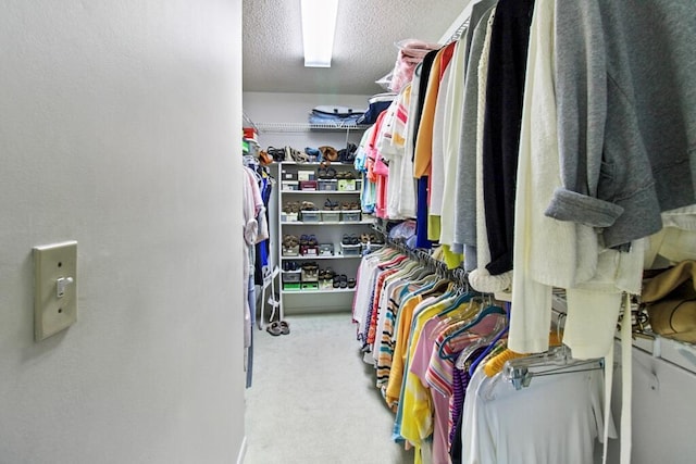 spacious closet with light carpet