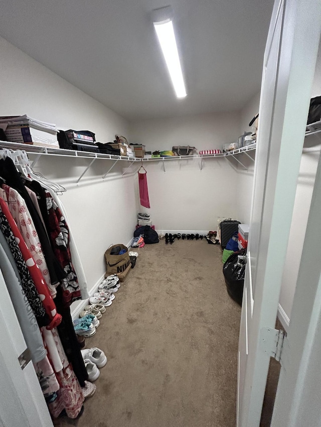 spacious closet with carpet