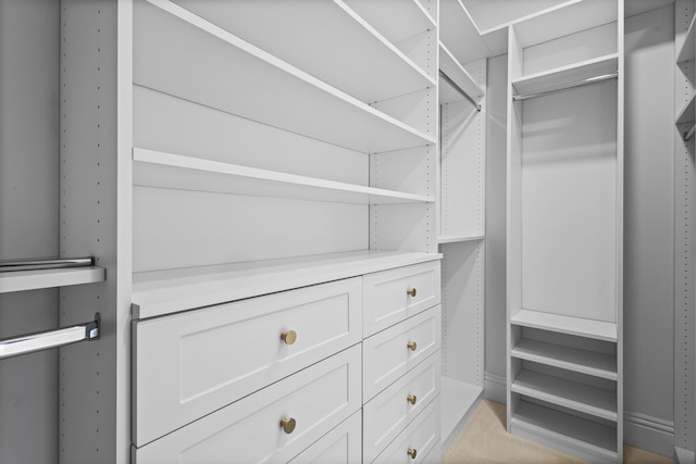 view of spacious closet