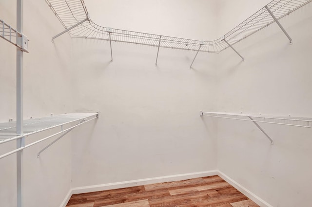 spacious closet with hardwood / wood-style flooring