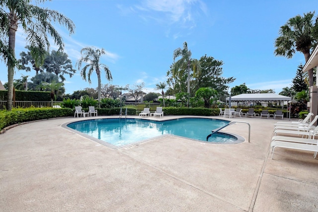 view of swimming pool with a patio