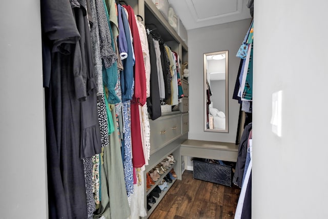 walk in closet with dark wood-type flooring