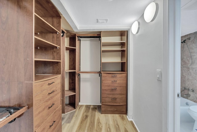 spacious closet featuring light hardwood / wood-style flooring