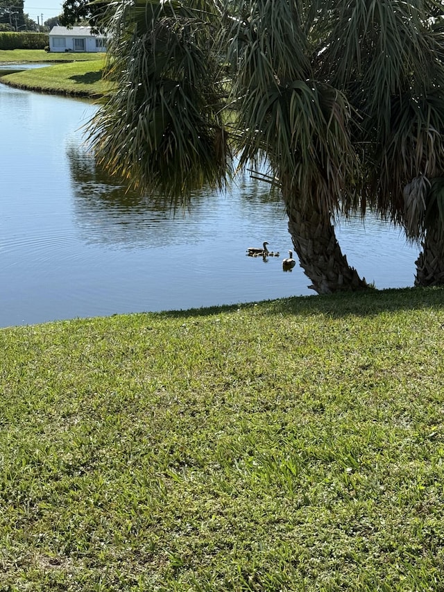 water view