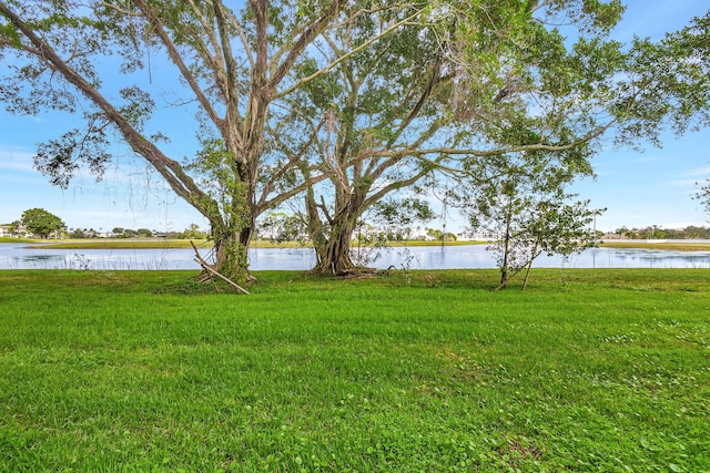 view of yard featuring a water view