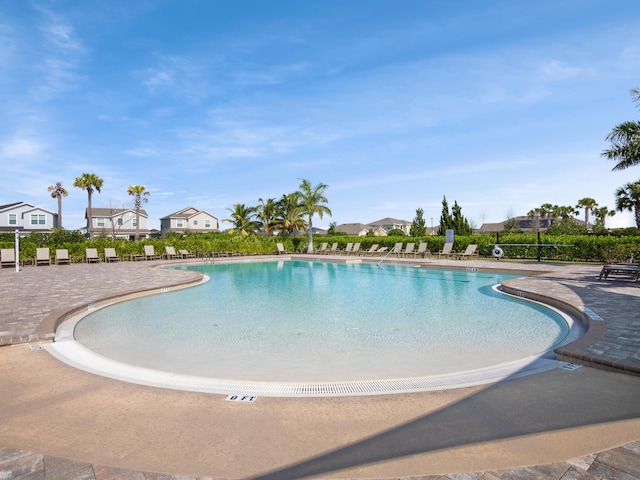 view of swimming pool featuring a patio