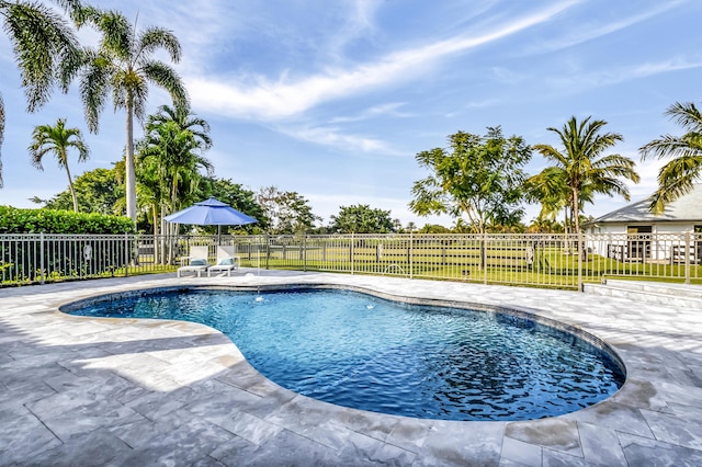 view of pool with a patio