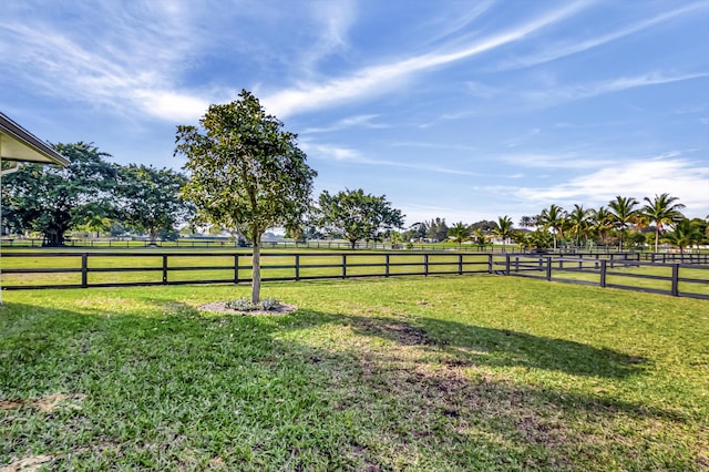 view of yard with a rural view