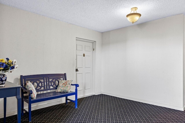 sitting room featuring carpet and a textured ceiling