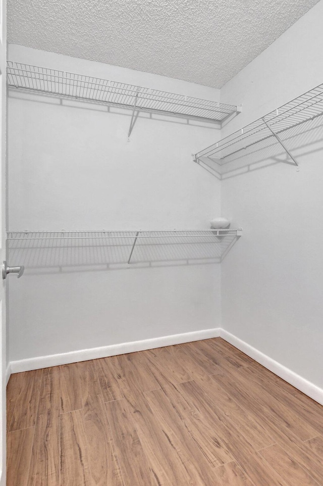 walk in closet featuring hardwood / wood-style flooring