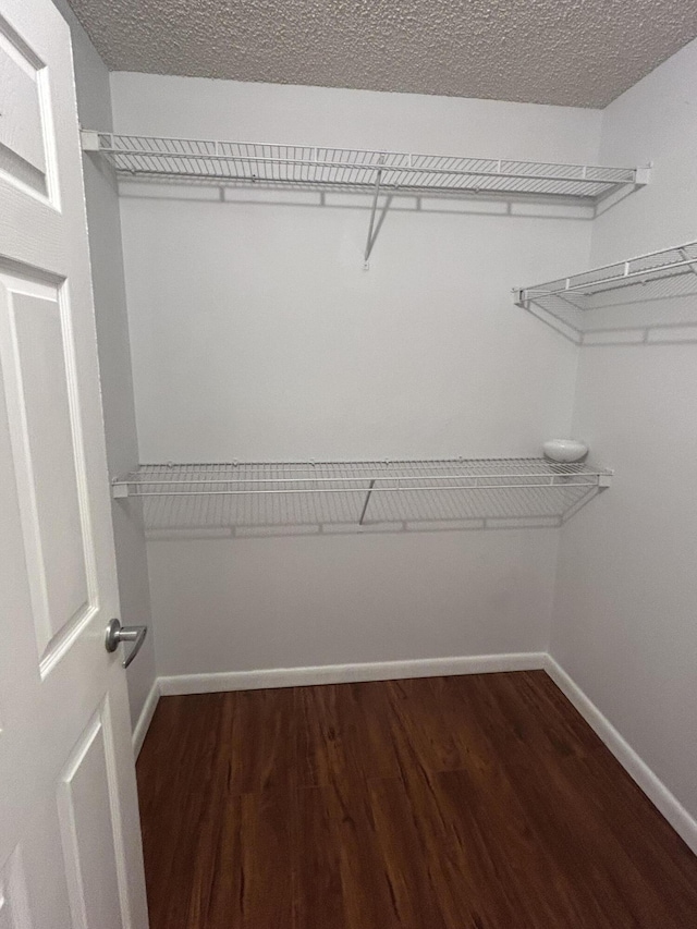 spacious closet with dark hardwood / wood-style floors