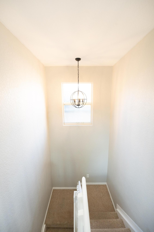 staircase featuring carpet flooring