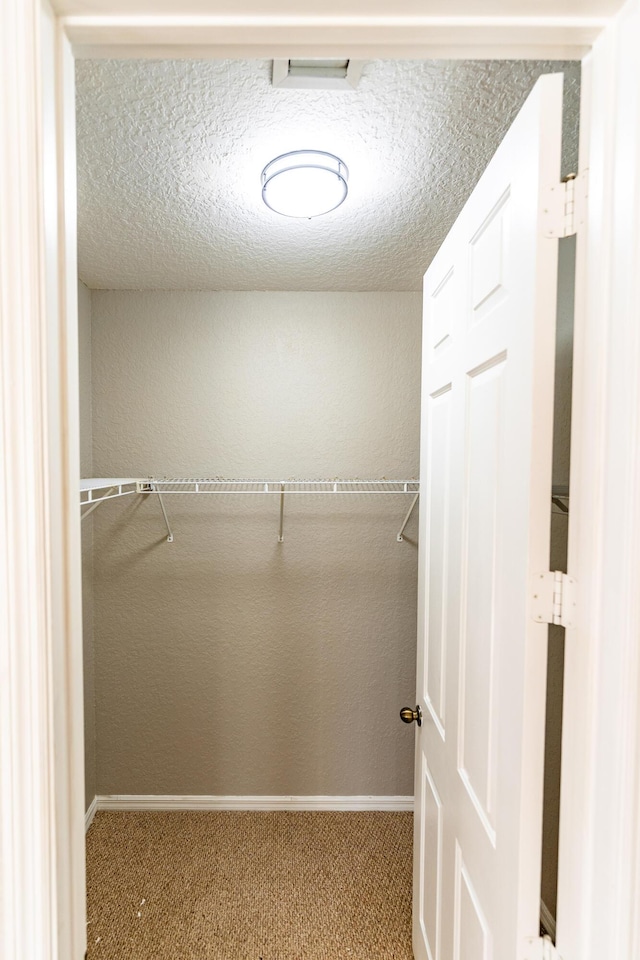 walk in closet featuring carpet