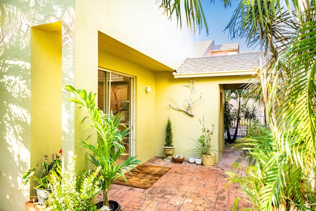 entrance to property featuring a patio area and stucco siding