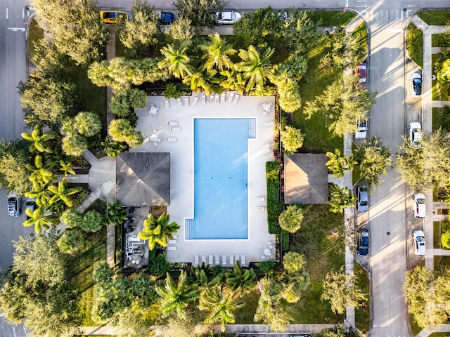 bird's eye view