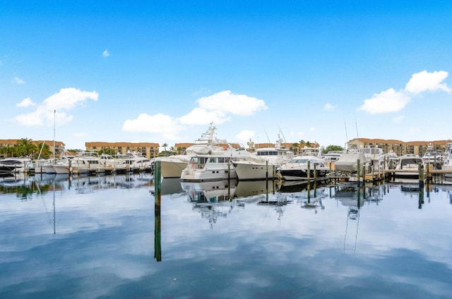 dock area with a water view