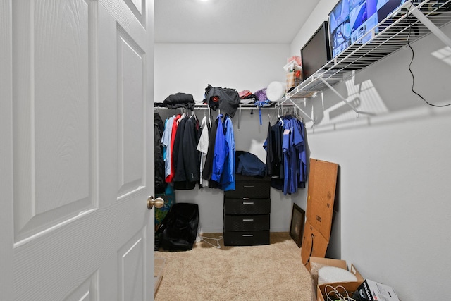 walk in closet featuring carpet