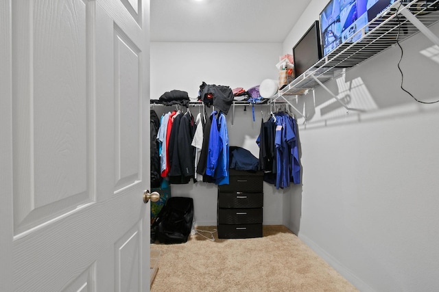 spacious closet with carpet floors