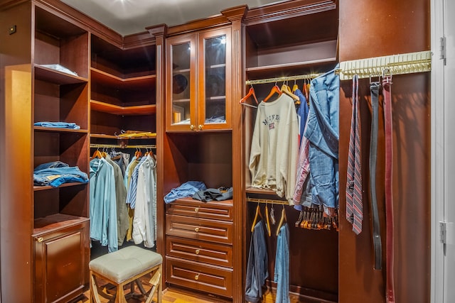 view of walk in closet