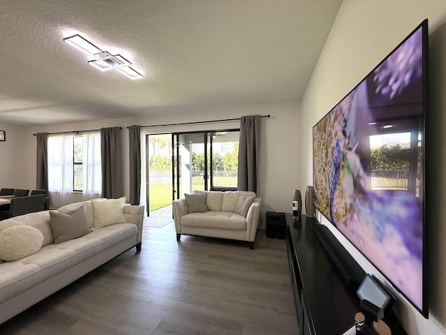 living room featuring hardwood / wood-style flooring, plenty of natural light, and a textured ceiling