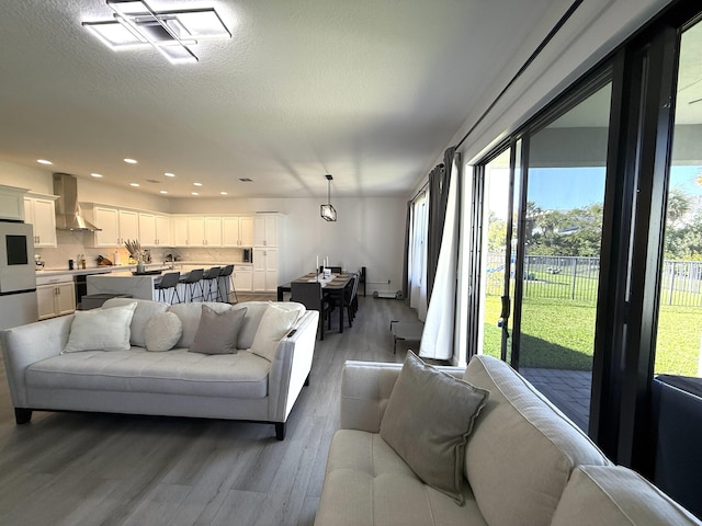 living room with light hardwood / wood-style flooring and a textured ceiling