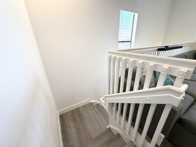 staircase with wood-type flooring