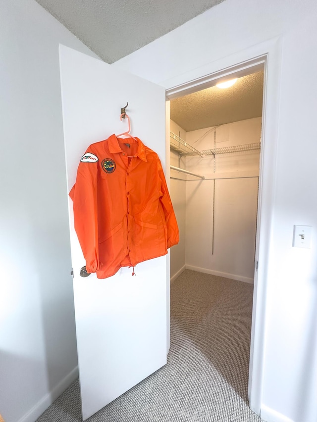 walk in closet with carpet floors